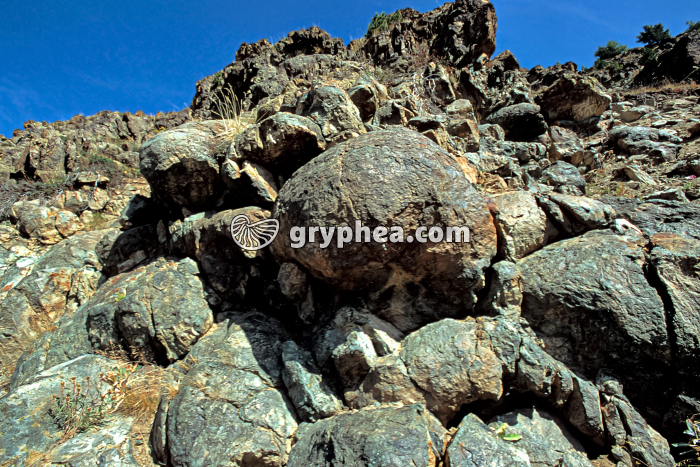 Pillow-lavas (Massif du Chenaillet, Alpes) - gryphea.com